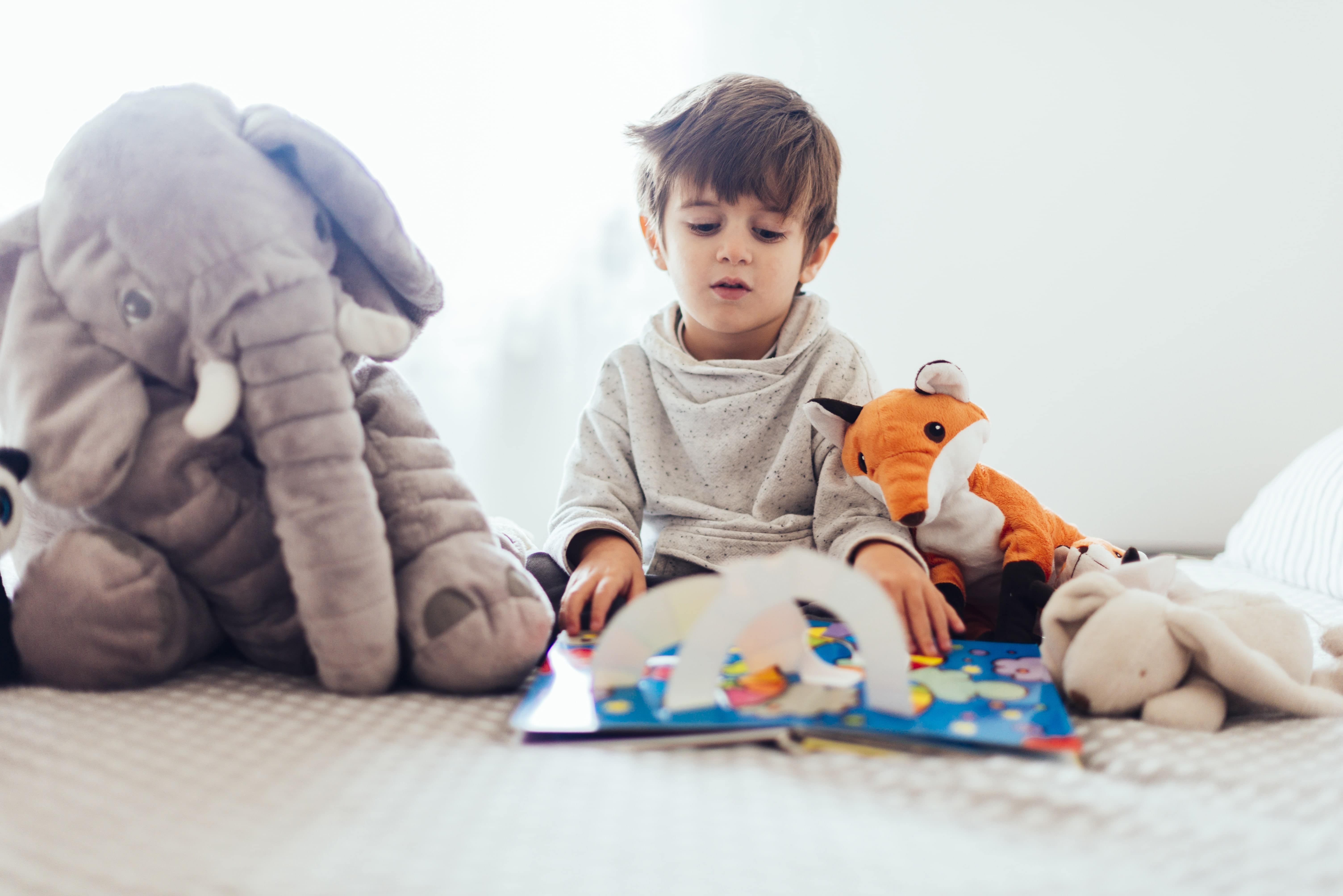 Joue et lis avec les animaux